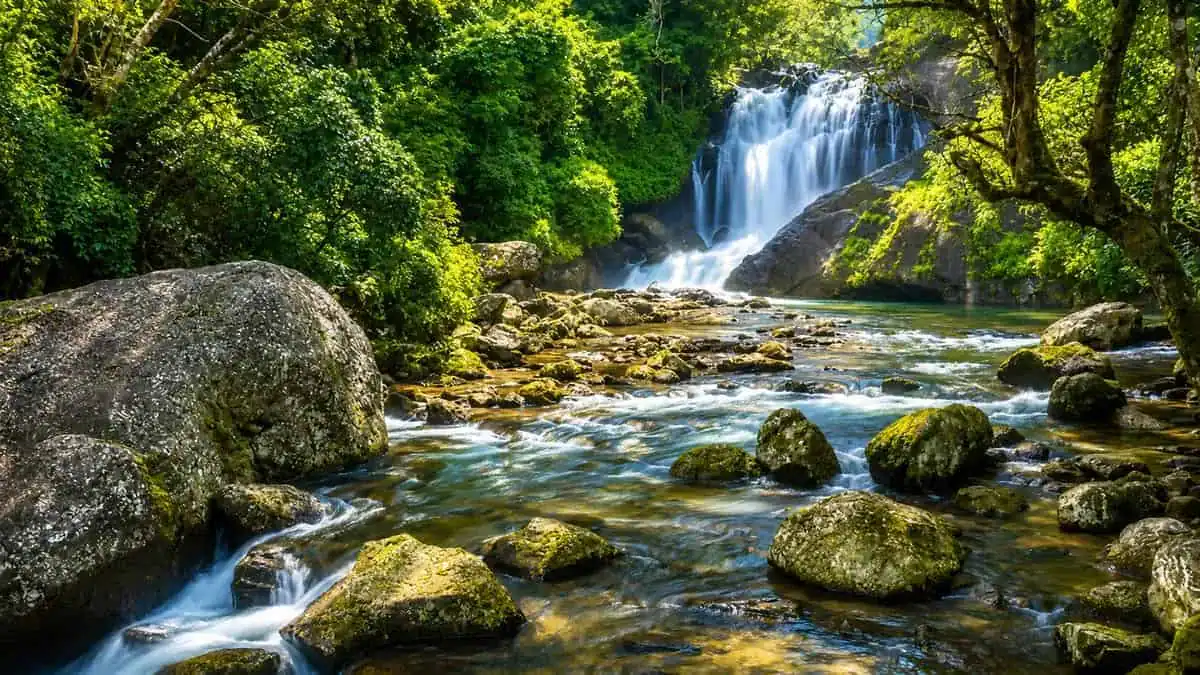 Attukal Waterfalls cascading through lush forest near Munnar, Kerala
