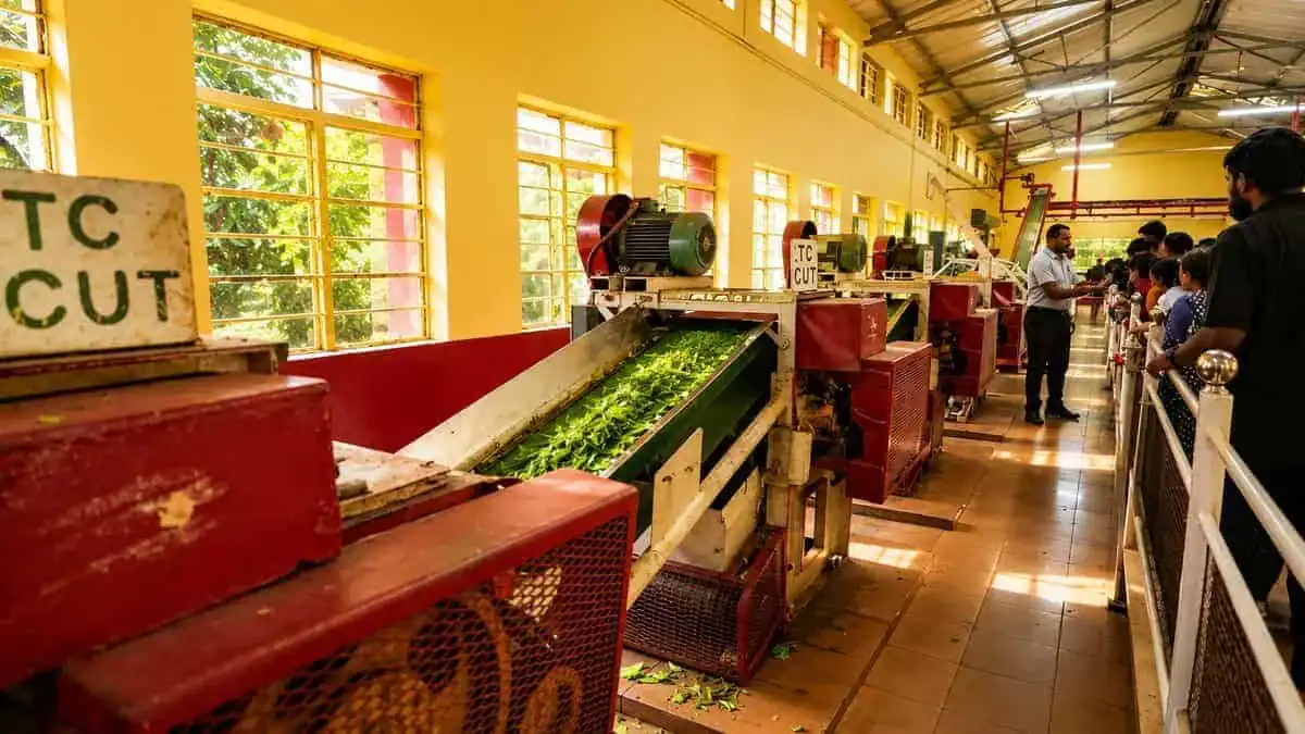 Munnar tea market with fresh Nilgiri tea shops and hill-town street scene