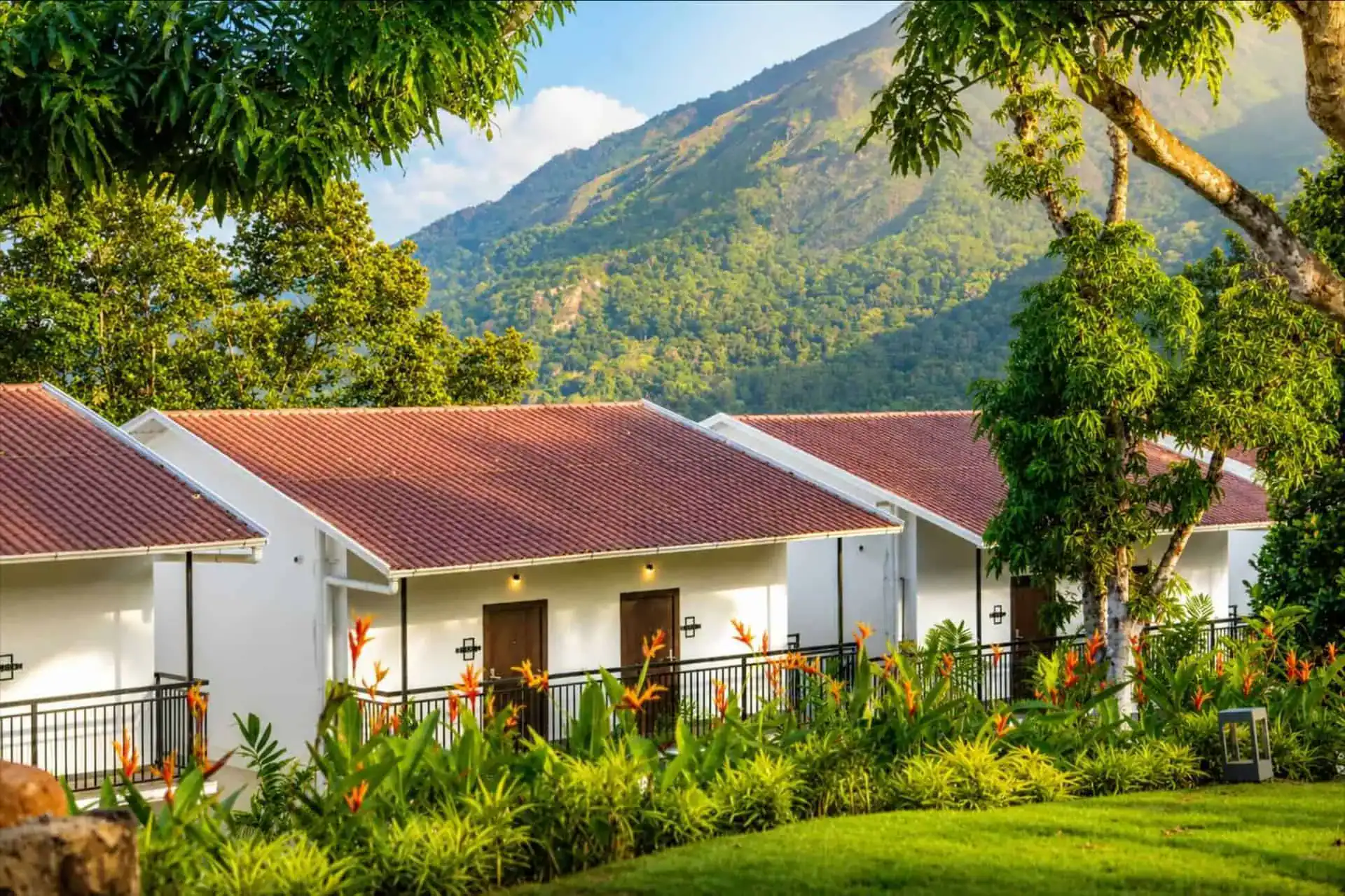 Vega Munnar cottage row with heliconia garden and dramatic mountain peak, the signature property view