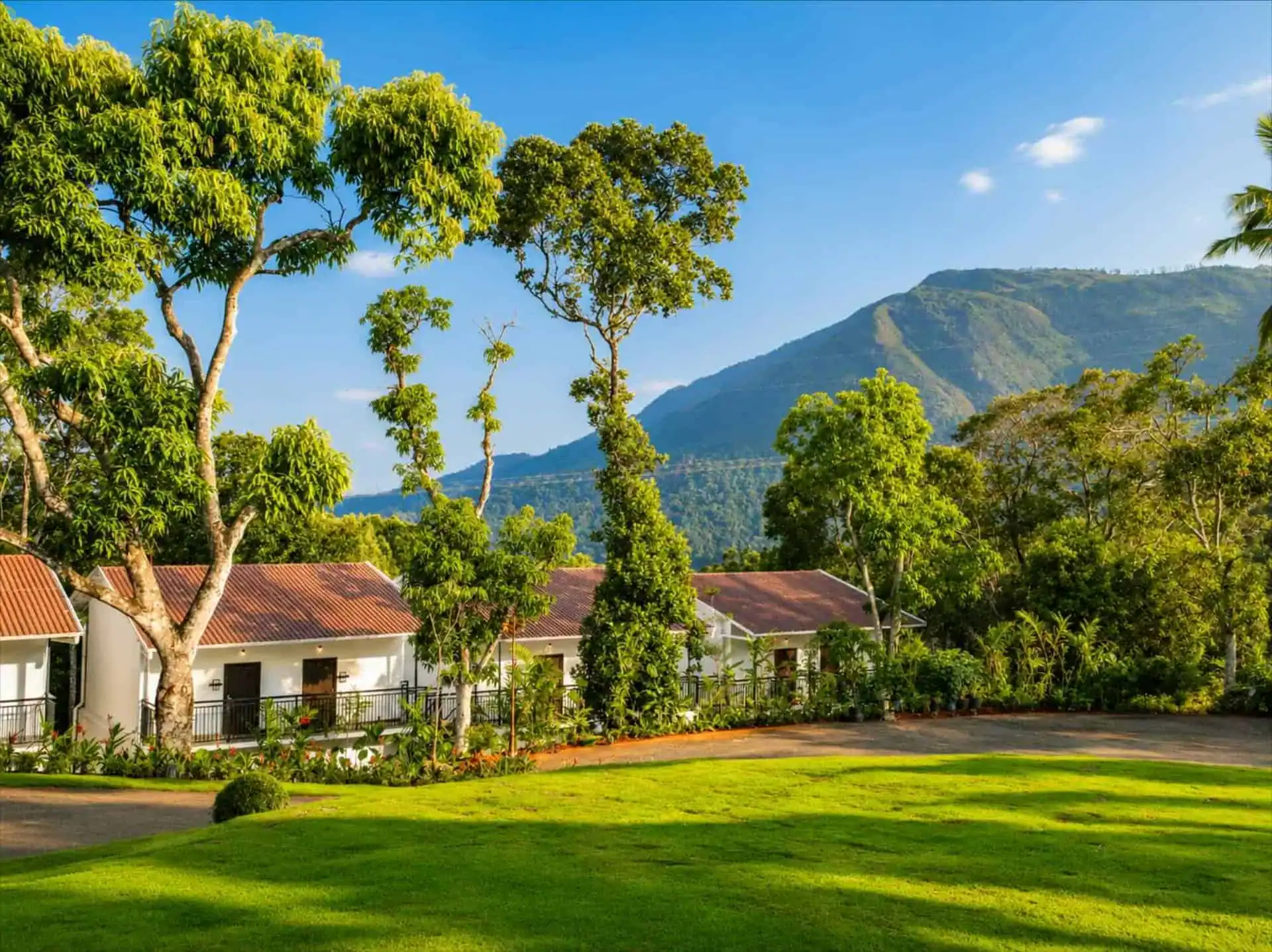 Sweeping resort grounds with lawn, mango trees and mountain view at Vega Munnar