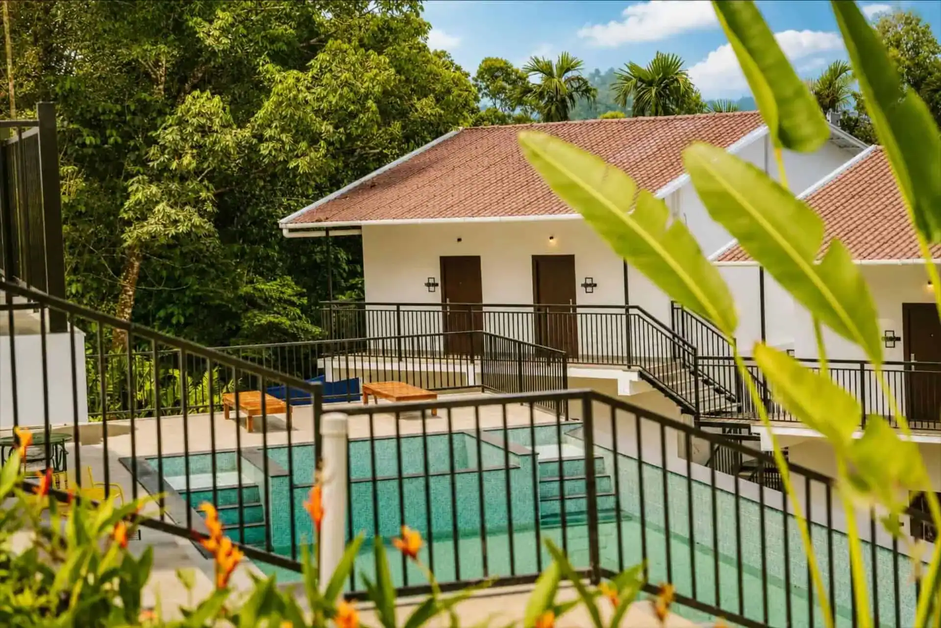Outdoor pool framed by lush tropical foliage and palm trees